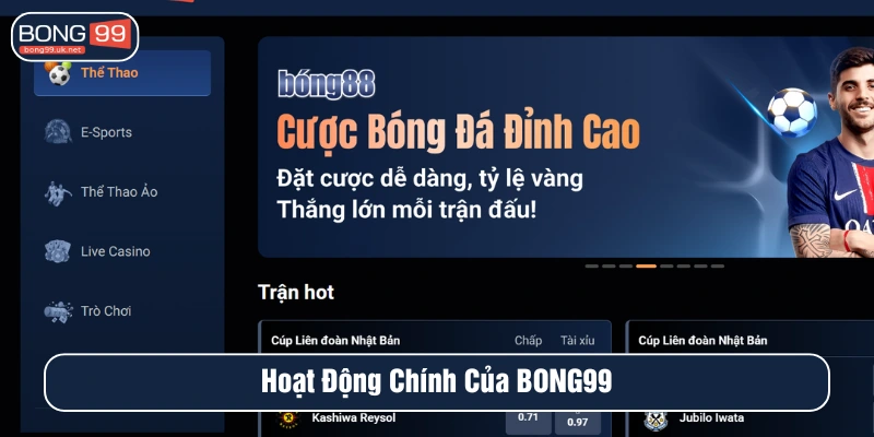 Hoạt động chính của BONG99 