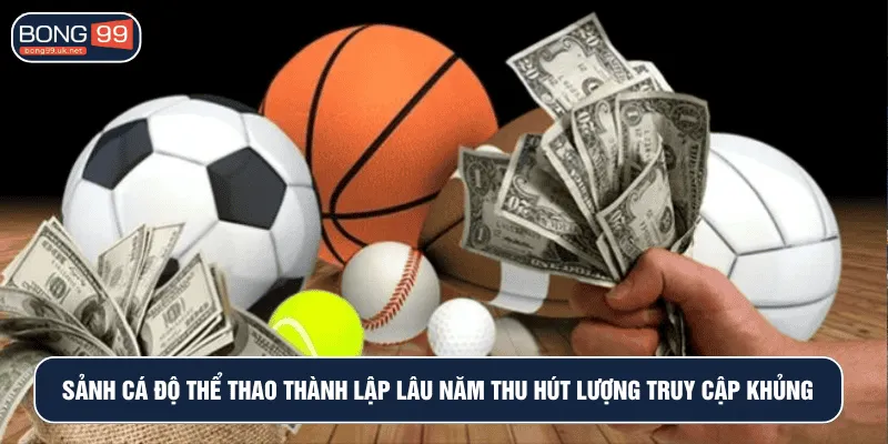 Sảnh cá độ thể thao thành lập lâu năm thu hút lượng truy cập khủng