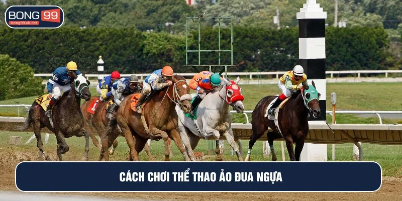 Cách đặt cược thể thao ảo đua ngựa rất đơn giản