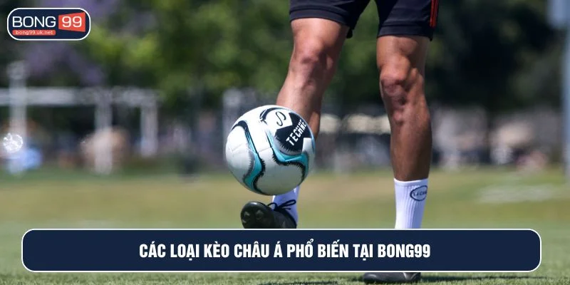 Có nhiều hình thức cá cược kèo châu Á